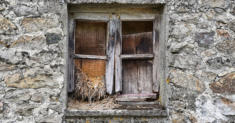 Les avantages du châssis neuf : sécurité et sérénité